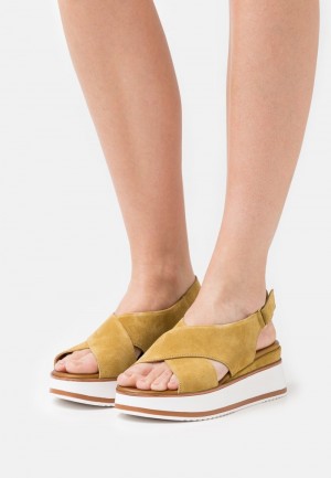 Anna Field Best Deal Leather Platform Sandaler Dam Bruna | SE-FCUYDB907