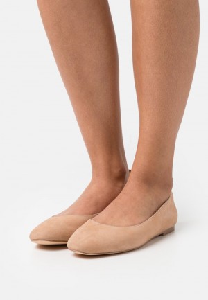 Anna Field Budget Leather Bekvämlighet Ballet Pumps Ballerina Dam Beige | SE-BMZRQY327