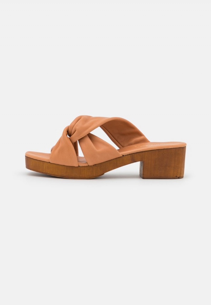 Anna Field Best Reviews Of Leather Clogs Mules Dam Bruna | SE-TYMNHB074