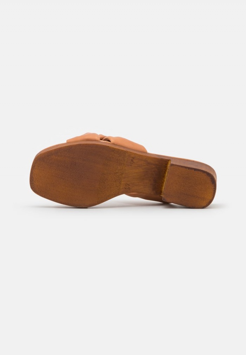 Anna Field Best Reviews Of Leather Clogs Mules Dam Bruna | SE-TYMNHB074