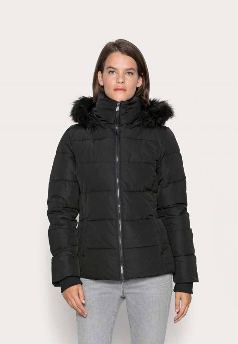 Anna Field Budget Korta Puffer With Hood Vinter Jacket Kappa Dam Svarta | SE-CHRMSQ680