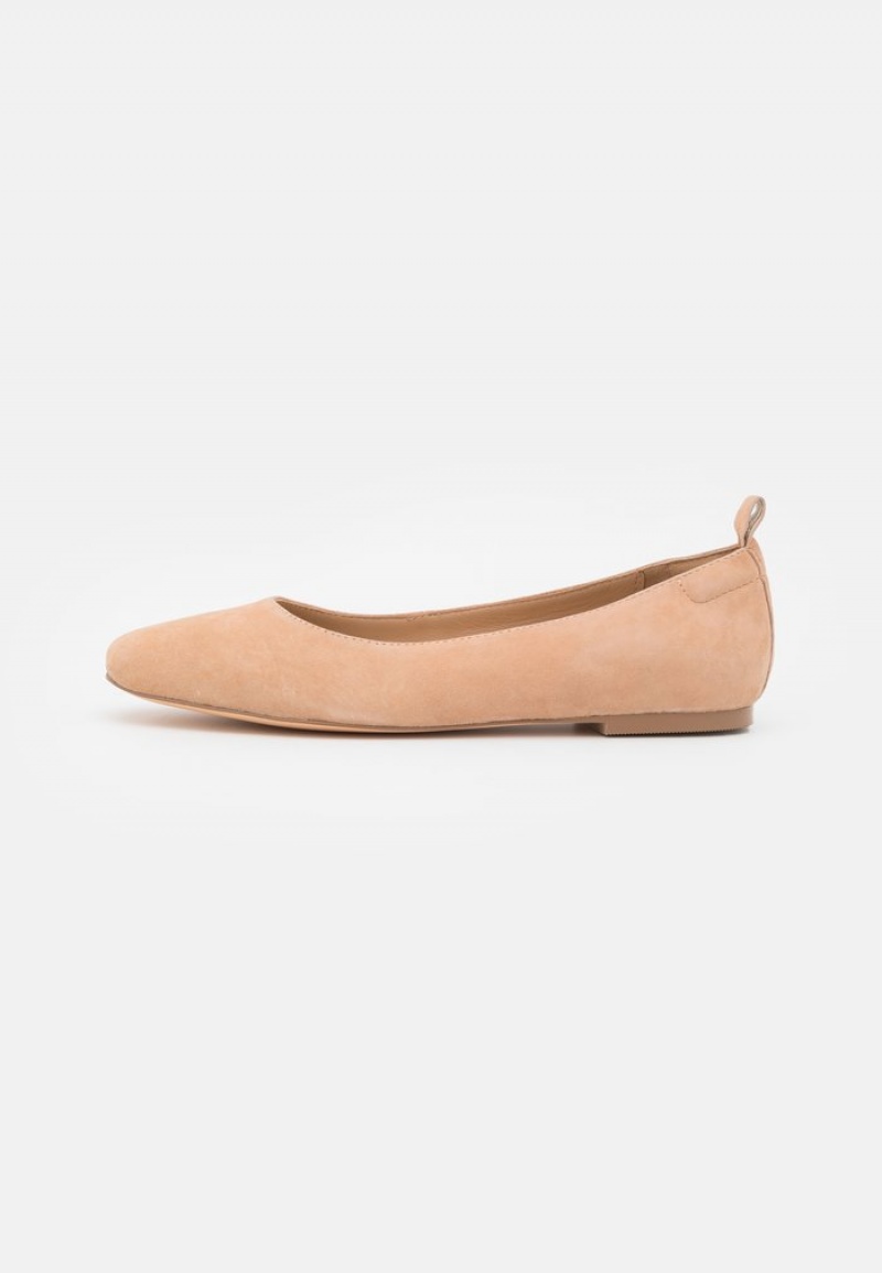 Anna Field Budget Leather Bekvämlighet Ballet Pumps Ballerina Dam Beige | SE-BMZRQY327