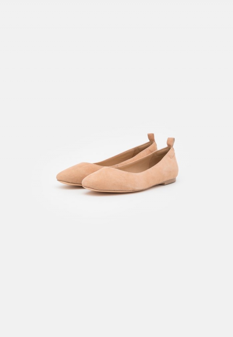 Anna Field Budget Leather Bekvämlighet Ballet Pumps Ballerina Dam Beige | SE-BMZRQY327