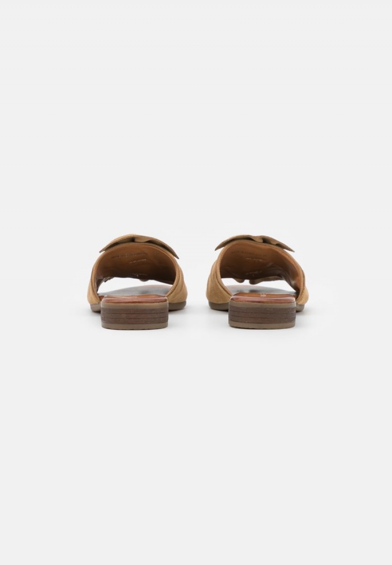 Anna Field Deals Leather Mules Dam Beige | SE-PJTOYH013