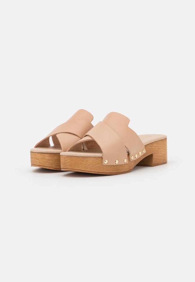 Anna Field New Leather Clogs Mules Dam Beige | SE-TMHIZB156