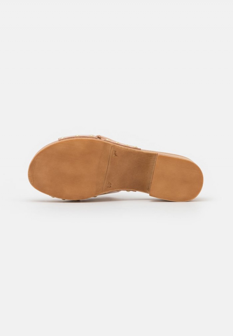 Anna Field New Leather Clogs Mules Dam Beige | SE-TMHIZB156