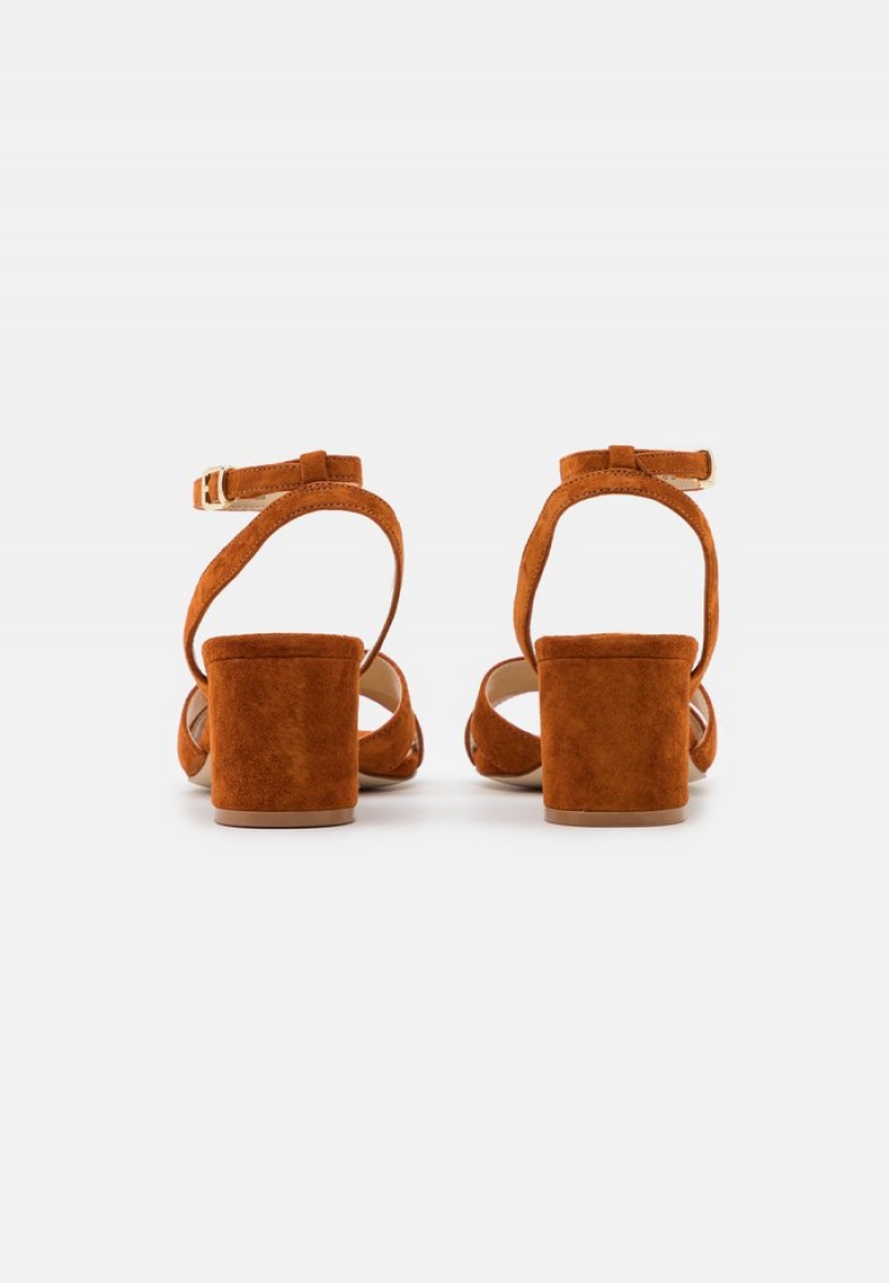 Anna Field Outlet Leather Sandaler Dam Bruna | SE-JSCANG269