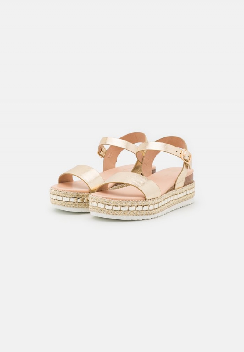 Anna Field Promo Platform Sandaler Dam Guld | SE-HYRWOX649