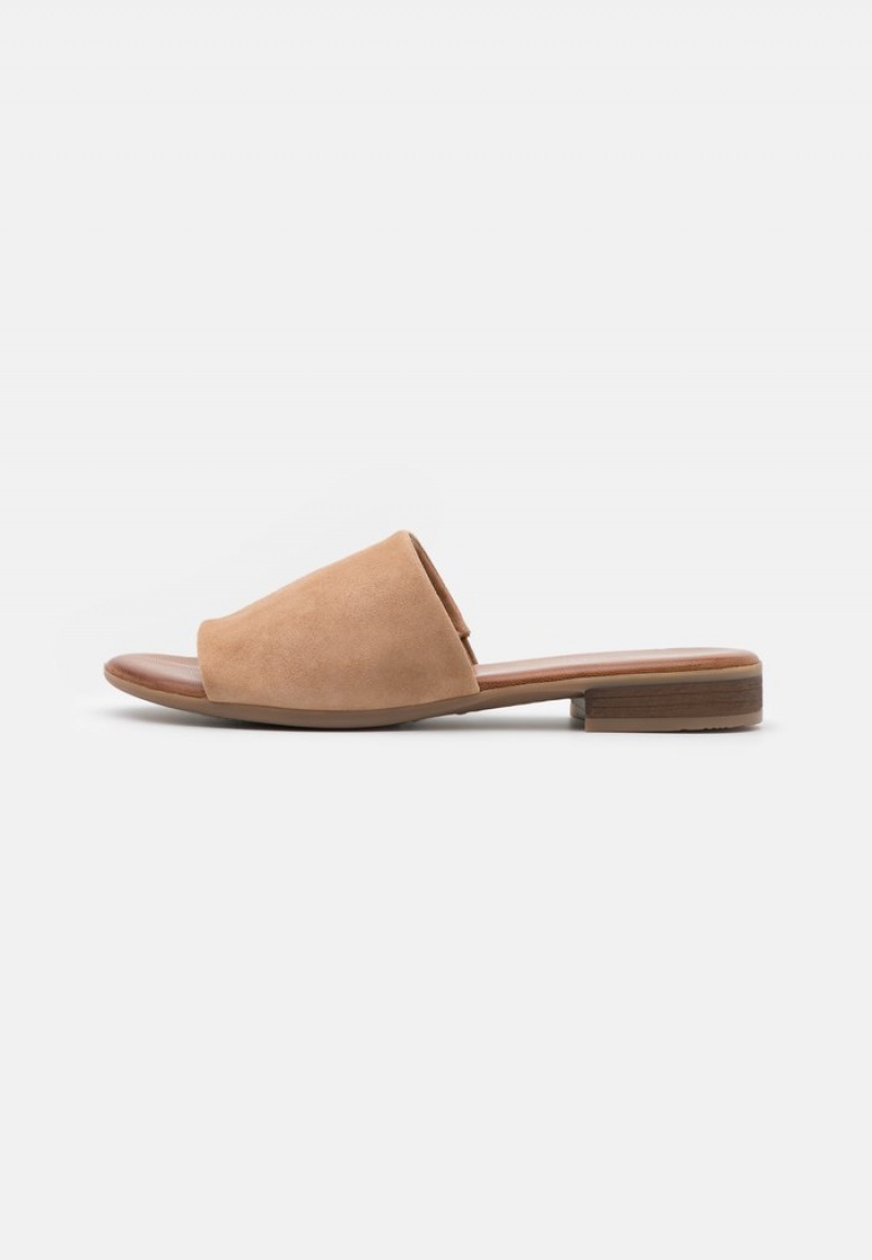 Anna Field Top 10 Leather Mules Dam Beige | SE-RJPZIH649