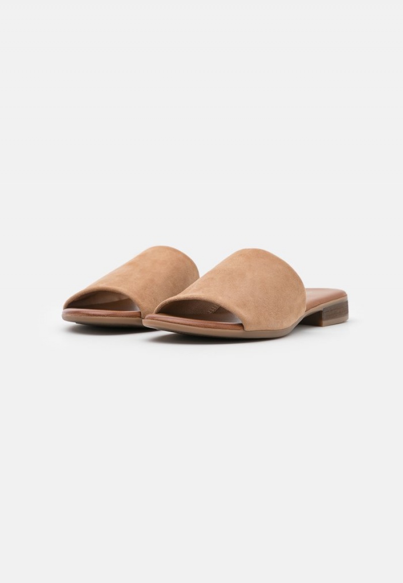 Anna Field Top 10 Leather Mules Dam Beige | SE-RJPZIH649